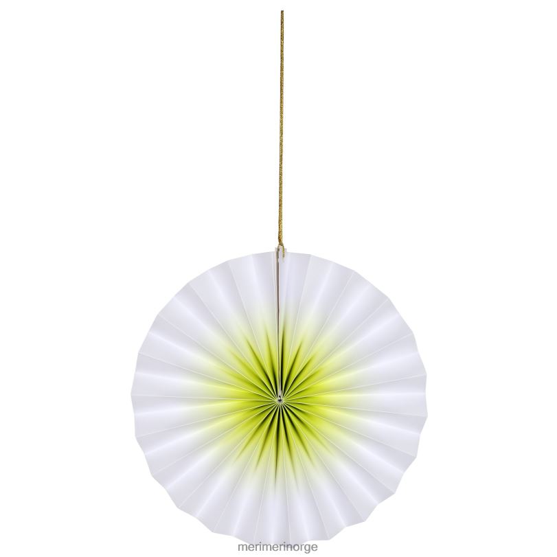 MERI MERI neon ombre pinwheel-dekorasjoner (x 6) 04TF4981 festutstyr