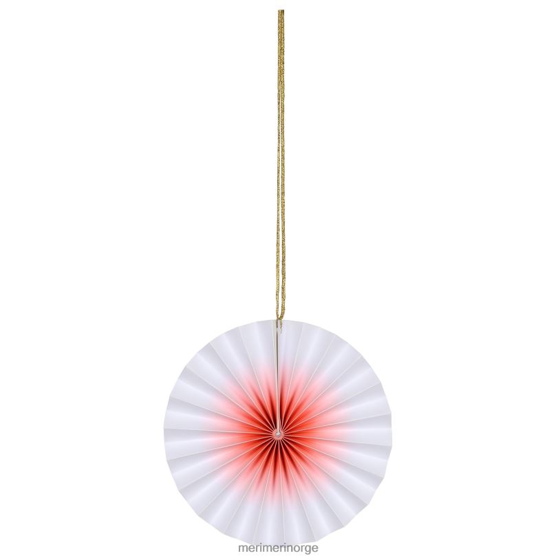 MERI MERI neon ombre pinwheel-dekorasjoner (x 6) 04TF4981 festutstyr