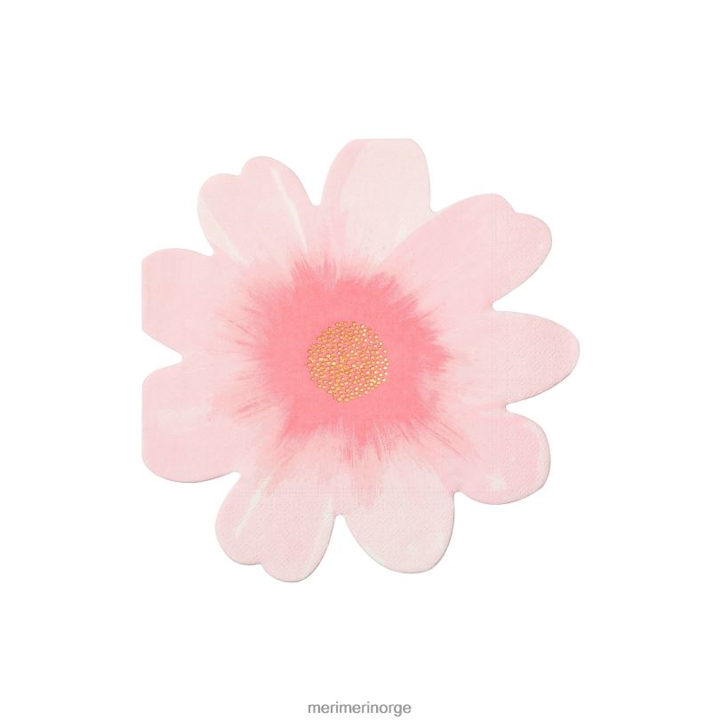 MERI MERI blomsterhageservietter (x 16) 04TF4380 samlinger