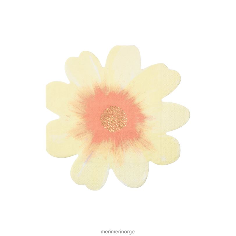 MERI MERI blomsterhageservietter (x 16) 04TF4380 samlinger