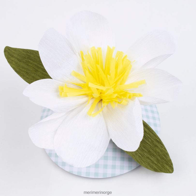 MERI MERI papirblomsthatter (x 6) 04TF4349 samlinger