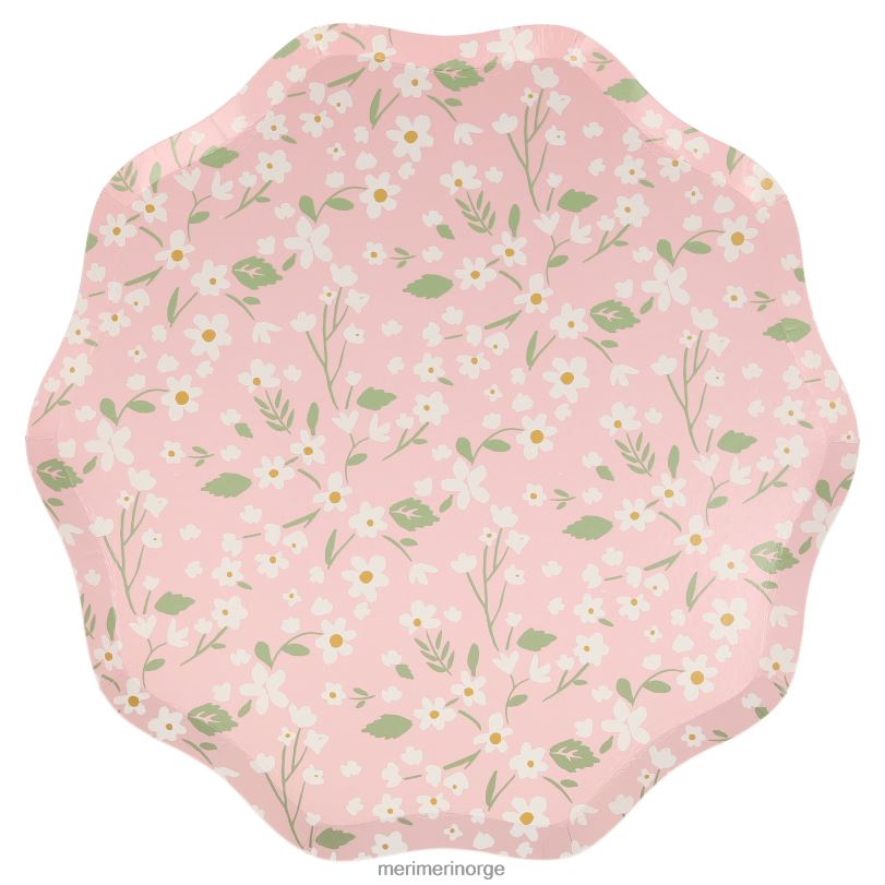MERI MERI skitne blomstermiddagstallerkener (x 12) 04TF4362 samlinger