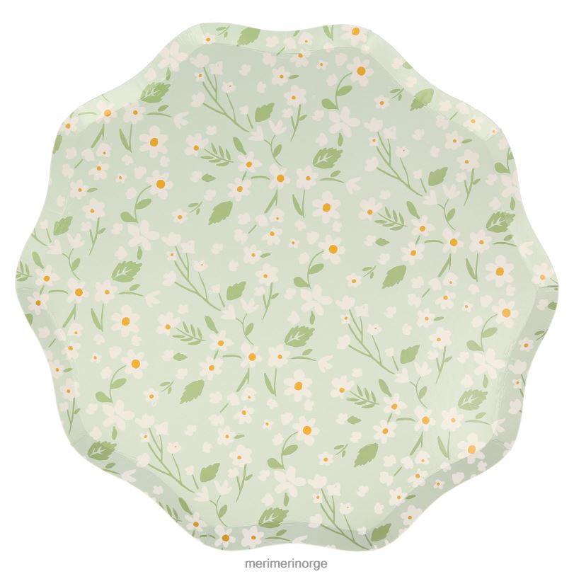 MERI MERI skitne blomstermiddagstallerkener (x 12) 04TF4362 samlinger