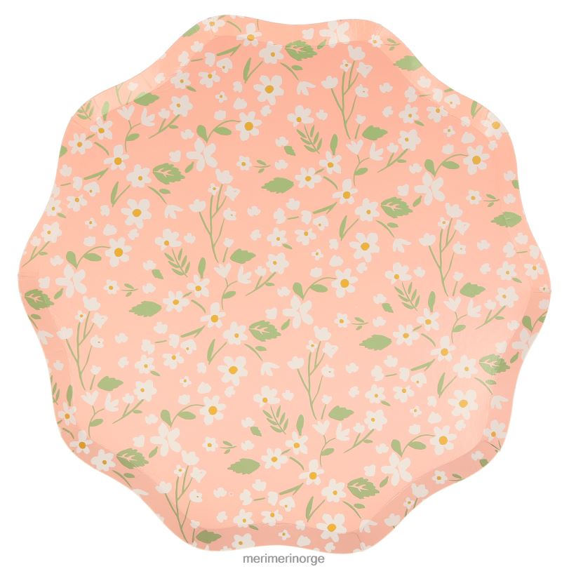 MERI MERI skitne blomstermiddagstallerkener (x 12) 04TF4362 samlinger