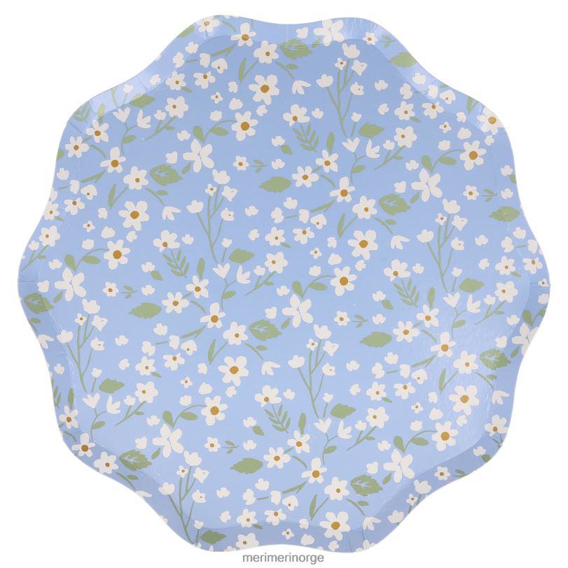 MERI MERI skitne blomstermiddagstallerkener (x 12) 04TF4362 samlinger