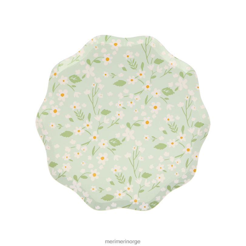 MERI MERI skrøpelige blomstersideplater (x 12) 04TF4363 samlinger