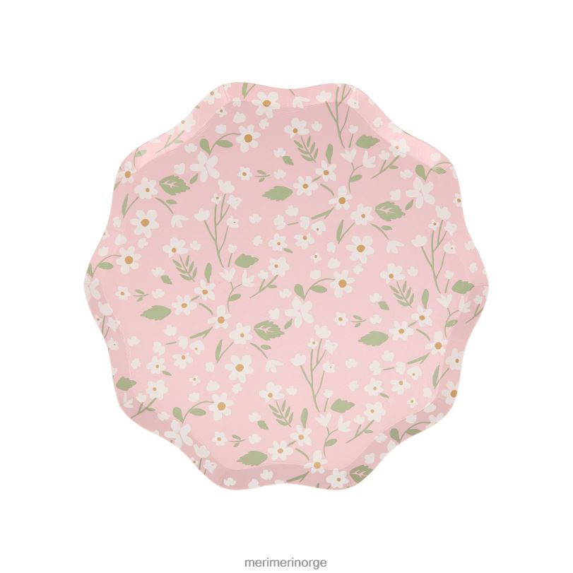 MERI MERI skrøpelige blomstersideplater (x 12) 04TF4363 samlinger