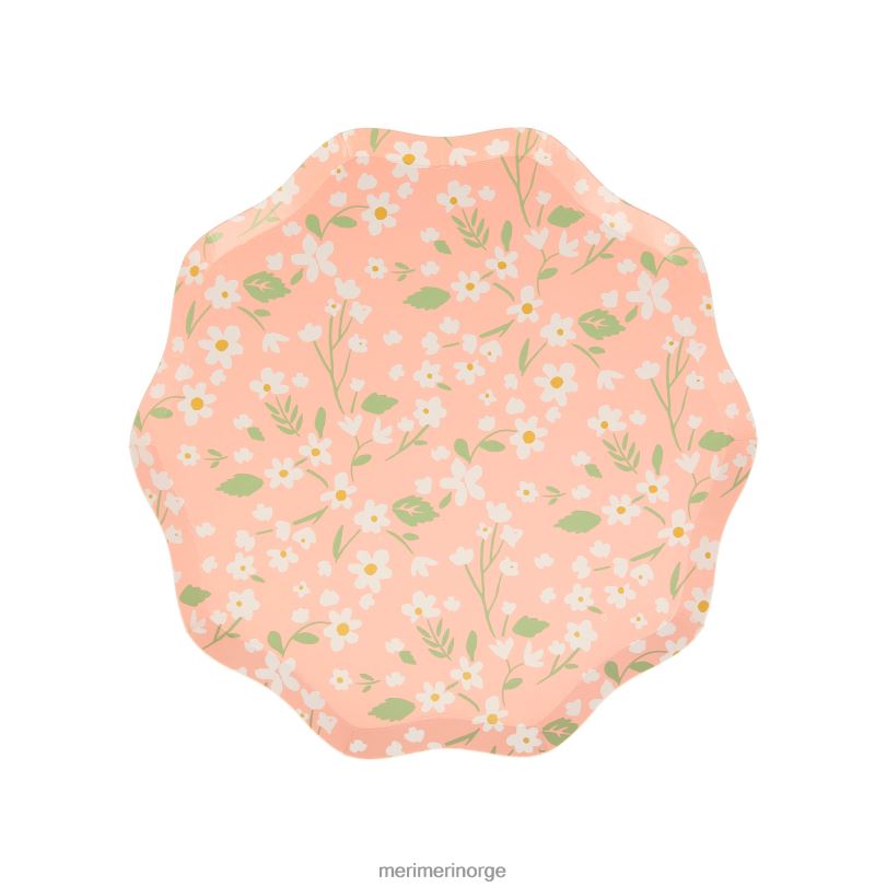 MERI MERI skrøpelige blomstersideplater (x 12) 04TF4363 samlinger