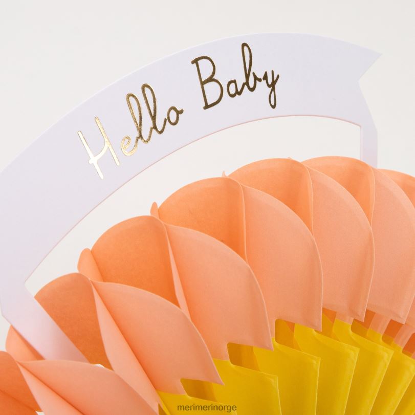 MERI MERI honeycomb rainbow babykort 04TF4720 samlinger