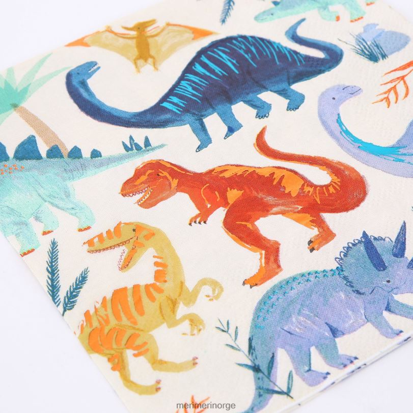MERI MERI dinosaurfestsett 04TF4263 temaer og anledninger