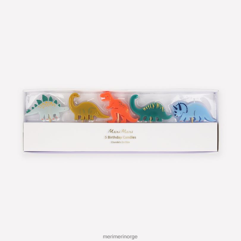 MERI MERI dinosaurlys (x 5) 04TF4276 temaer og anledninger