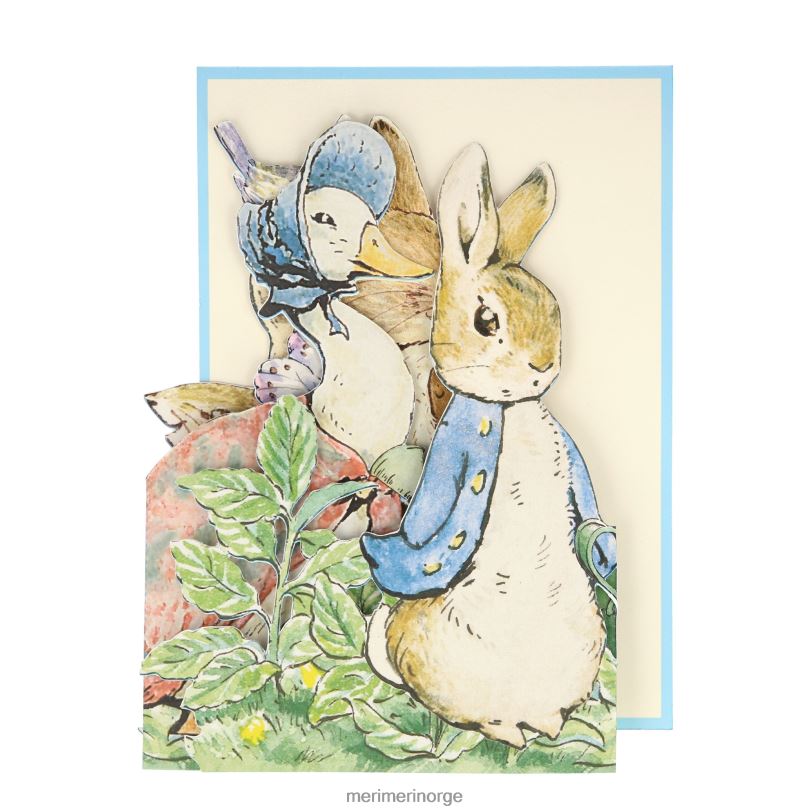MERI MERI peter rabbit blankt kort 04TF4611 temaer og anledninger