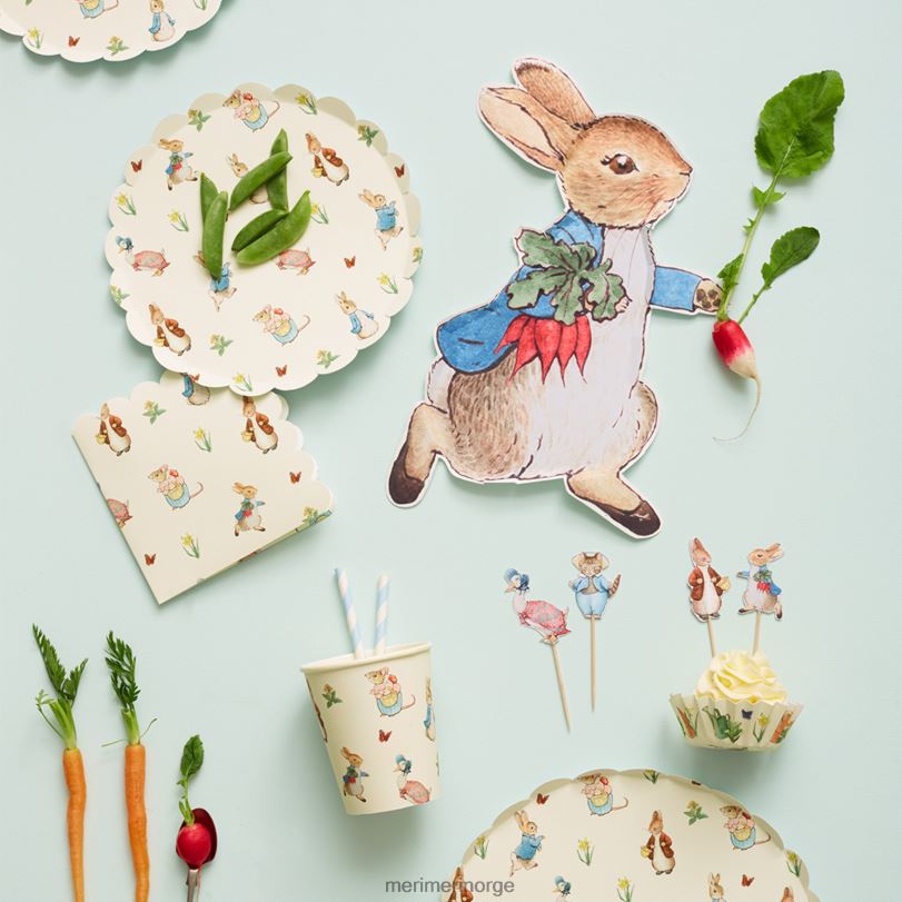 MERI MERI peter rabbit & friends små servietter (x 20) 04TF4612 temaer og anledninger